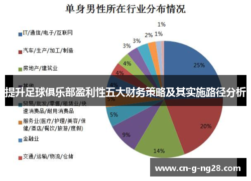 提升足球俱乐部盈利性五大财务策略及其实施路径分析