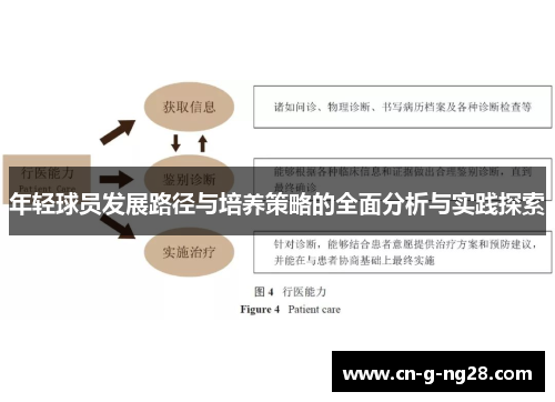 年轻球员发展路径与培养策略的全面分析与实践探索