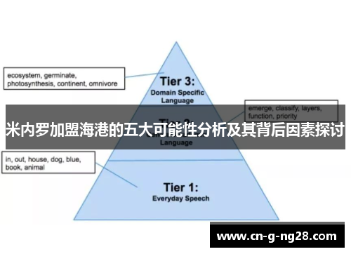 米内罗加盟海港的五大可能性分析及其背后因素探讨