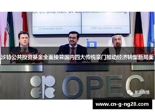 沙特公共投资基金全面接管国内四大传统豪门推动经济转型新局面
