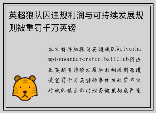 英超狼队因违规利润与可持续发展规则被重罚千万英镑